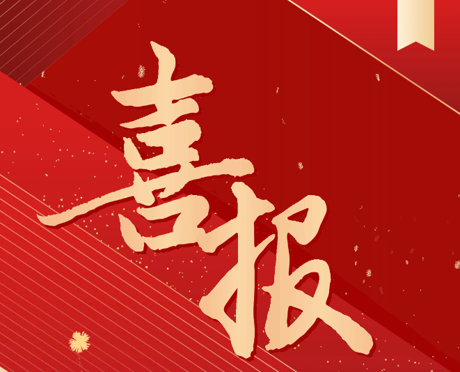 喜报！我院师生在2024一带一路暨金砖国家技能发展与技术创新大赛中荣获佳绩