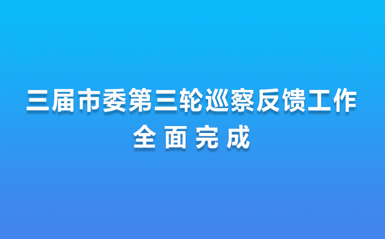 三届市委第三轮巡察反馈工作全面完成